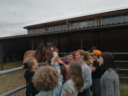 IMG_20210807_090014_1