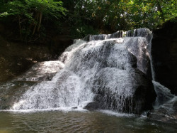 WhatsApp Image 2021-08-12 at 21.18.11 (1)