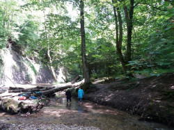 WhatsApp Image 2021-08-12 at 21.19.56