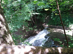 WhatsApp Image 2021-08-12 at 21.20.26