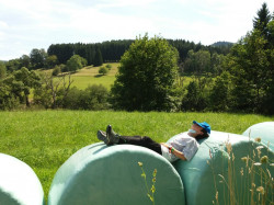 WhatsApp Image 2021-08-12 at 21.22.08