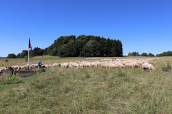 20220702111649_IMG_6796