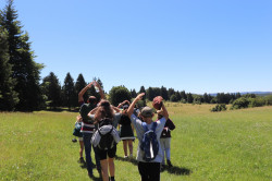 20220702123242_IMG_6838