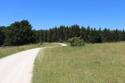 20220702151247_IMG_6863