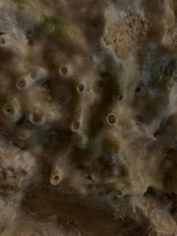 K1024_WhatsApp Image 2022-08-06 at 23.23.59