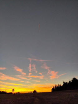 K1024_WhatsApp Image 2022-08-11 at 21.18.30 (1)