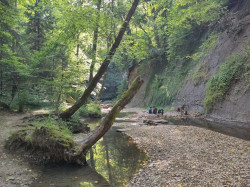 K1024_WhatsApp Image 2022-08-11 at 21.18.35 (1)