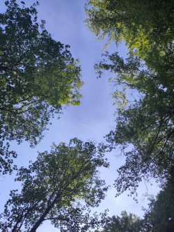 K1024_WhatsApp Image 2022-08-11 at 21.18.36 (1)