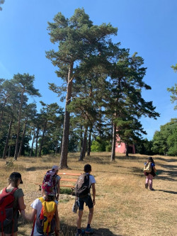 K1024_WhatsApp Image 2022-08-11 at 23.10.55 (4)