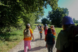 20240806_Tag10_Upload_001