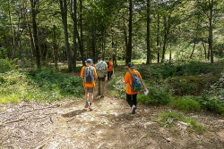 20240807_Tag11_Upload_032