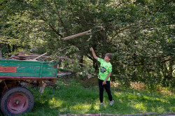 20240809_Tag13_Upload_010