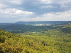 WhatsApp Image 2018-08-09 at 21.56.08